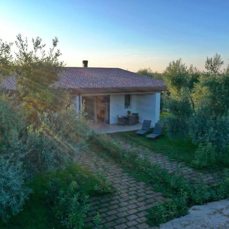 I Secolari Bed & Breakfast Sannicandro di Bari ภายนอก รูปภาพ