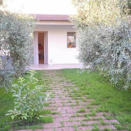 I Secolari Bed & Breakfast Sannicandro di Bari ภายนอก รูปภาพ